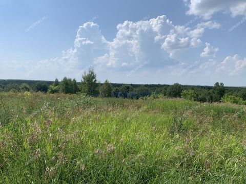 zelenyy-dol-sp-bogorodskiy-municipalnyy-okrug фото