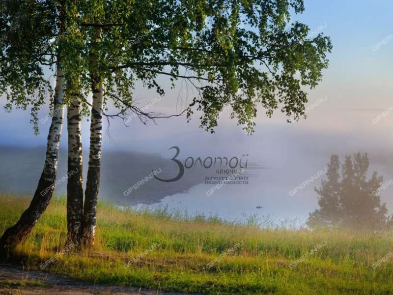 дом в переулке Январский рабочий посёлок Ветлужский