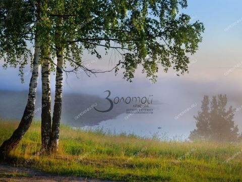 dom-rabochiy-poselok-vetluzhskiy-krasnobakovskiy-rayon фото