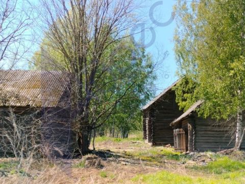 derevnya-berezovo-sokolskiy-gorodskoy-okrug фото