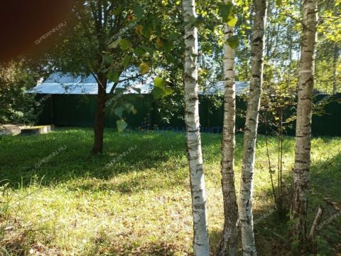 berezovaya-roshha-derevnya-temryashino-ter-snt-gorodskoy-okrug-bor фото