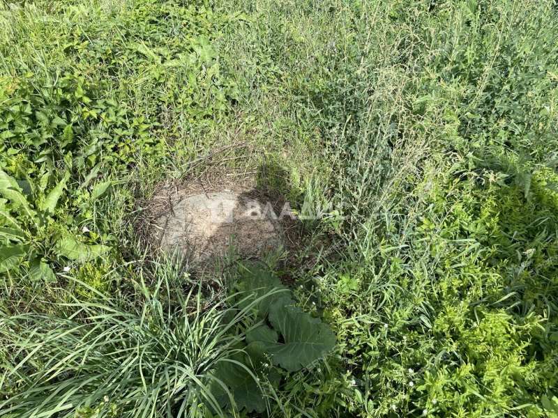 дом на улице Школьная деревня Пальцино