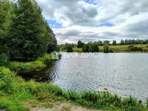 selo-spirino-bogorodskiy-municipalnyy-okrug фото