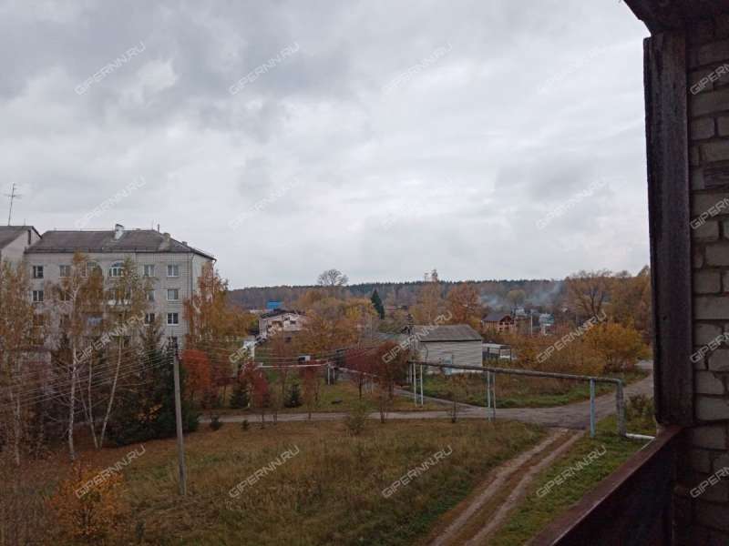 трёхкомнатная квартира в 3-м микрорайоне дом 12 город Богородск