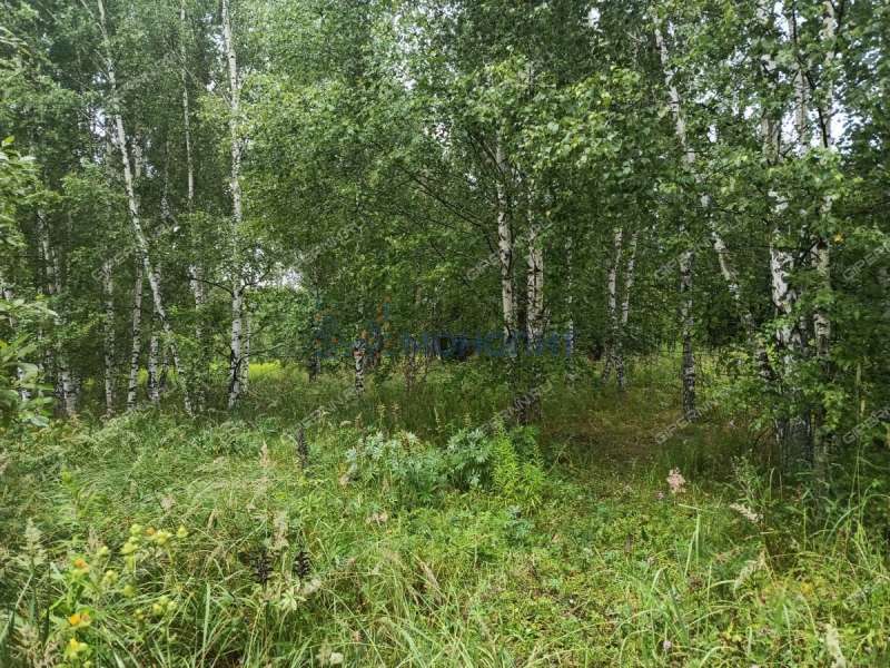 земельный участок 10 соток Дружбы улица село Елховка