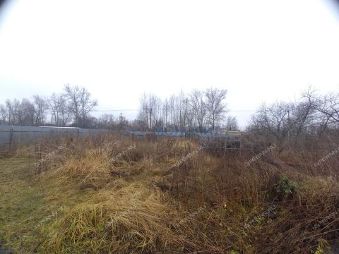 dom-derevnya-pesochnoe-bogorodskiy-municipalnyy-okrug фото