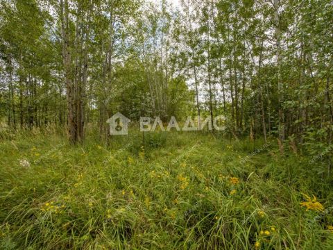 selo-spirino-bogorodskiy-municipalnyy-okrug фото