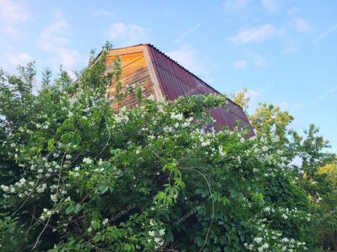 dacha-snt-n5-oao-gaz-snt-n-5 фото