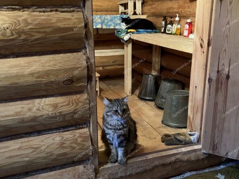 dom-poselok-gnilicy-ul-shushenskaya-d-67 фото