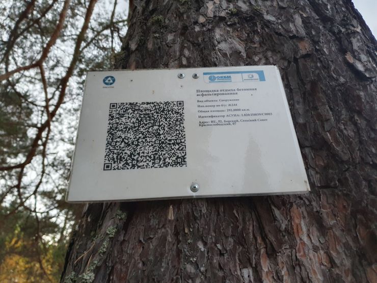 Фото: Ксения Ражева