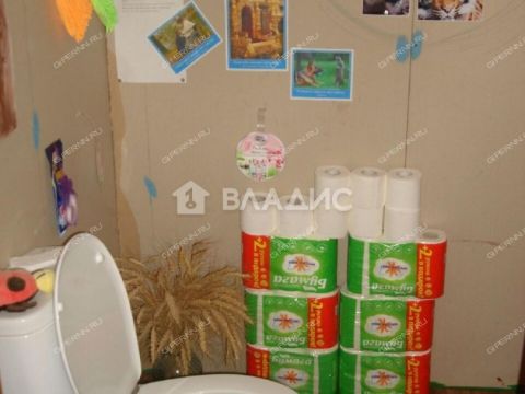 dom-selo-bolshie-bakaldy-buturlinskiy-municipalnyy-okrug фото