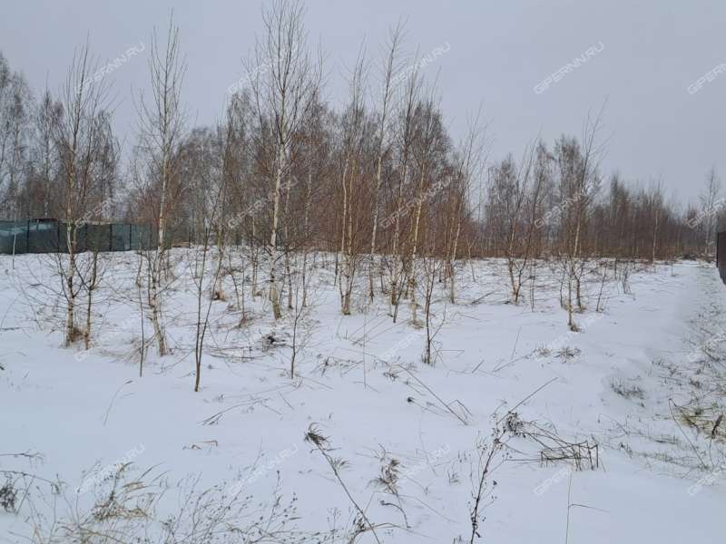 земельный участок 15,9 сотки Дубовая роща, д.45 деревня Михальчиково