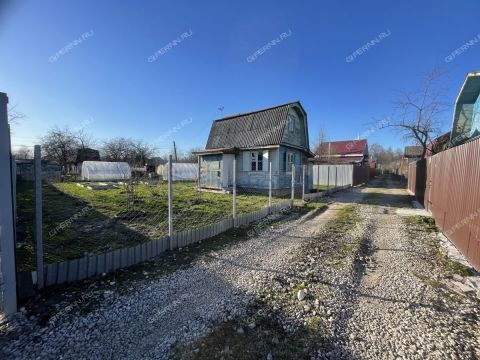dacha фото