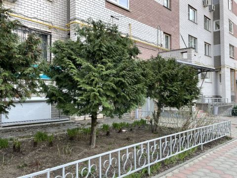 1-komnatnaya-ul-tonkinskaya-d-5 фото