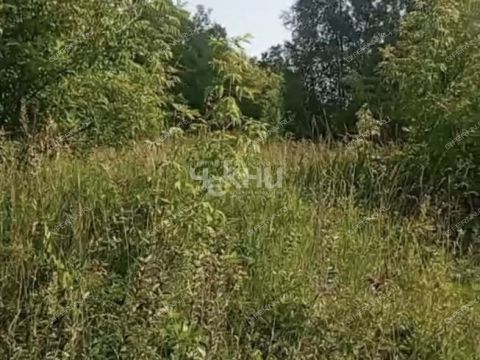 derevnya-dosadino-vadskiy-municipalnyy-okrug фото