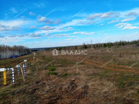 derevnya-inyutino-bogorodskiy-municipalnyy-okrug фото