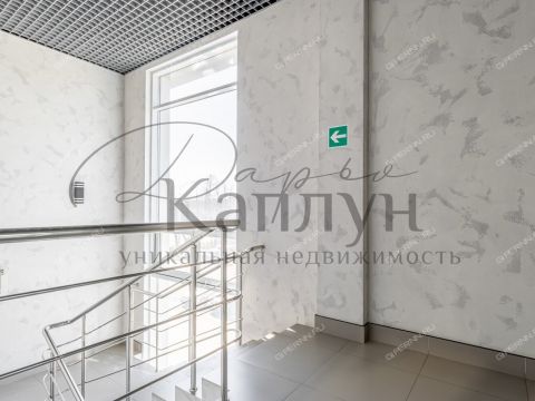 sh-moskovskoe-d-117 фото