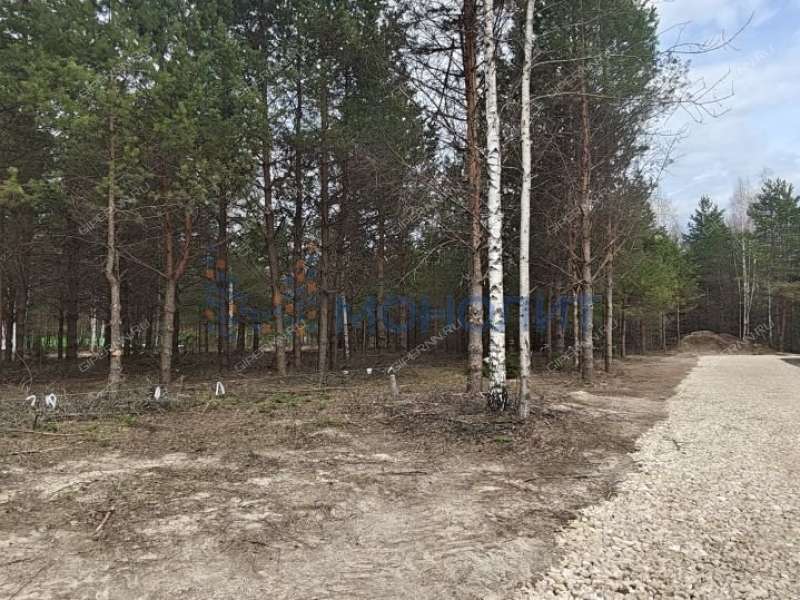 земельный участок 16 соток Ореховая улица Ивановское слобода