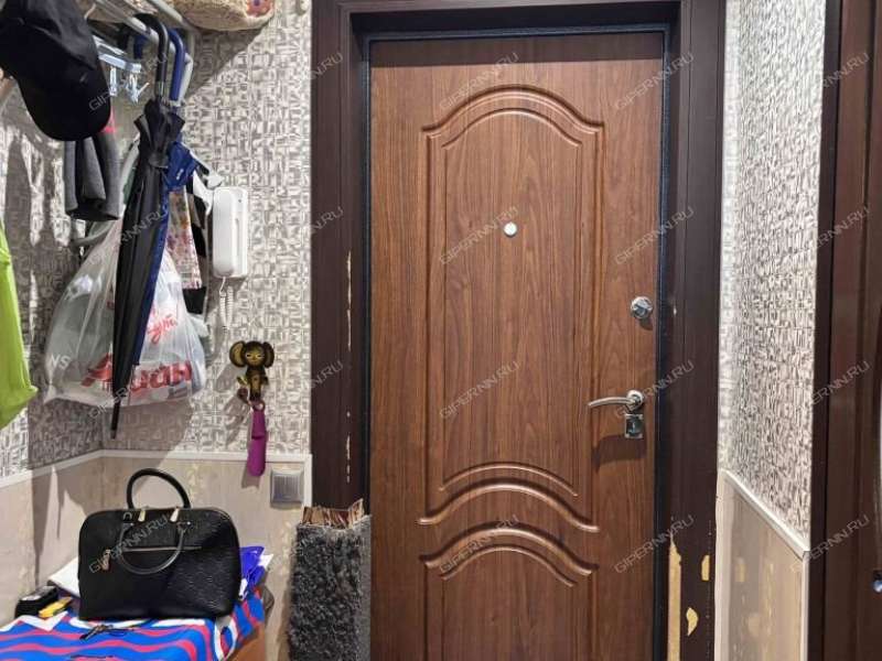 однокомнатная квартира на Зелёной улице дом 69 деревня Афонино