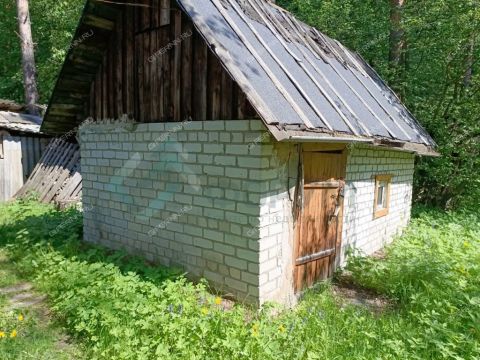 2-komnatnaya-gorod-semenov-semenovskiy-gorodskoy-okrug фото