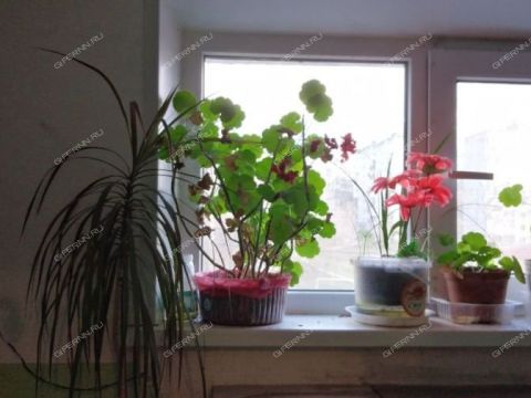 3-komnatnaya-ul-akademika-lebedeva-d-8 фото