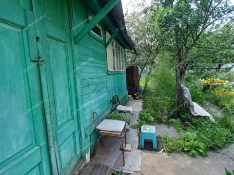 dacha фото