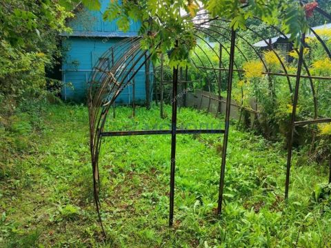 dacha-snt-sokol-sad-n3-snt-sokol-n3 фото