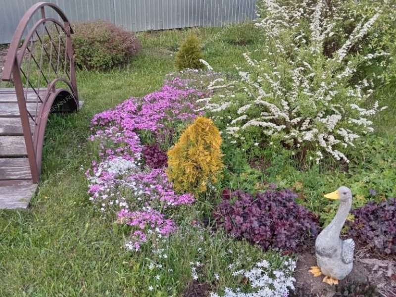 коттедж на ул. Свободы деревня Ионовка