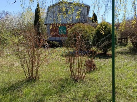 dacha-gorod-pavlovo-pavlovskiy-municipalnyy-okrug фото
