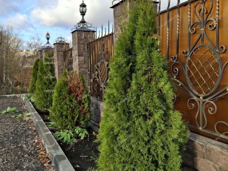 дом на улице 40 лет Победы