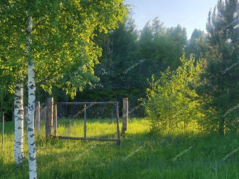 derevnya-moshkino-brilyakovskiy-selsovet-gorodeckiy-rayon фото