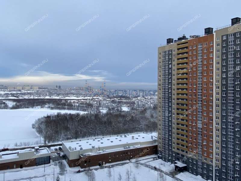 однокомнатная квартира на Русской улице улице дом 5 деревня Анкудиновка