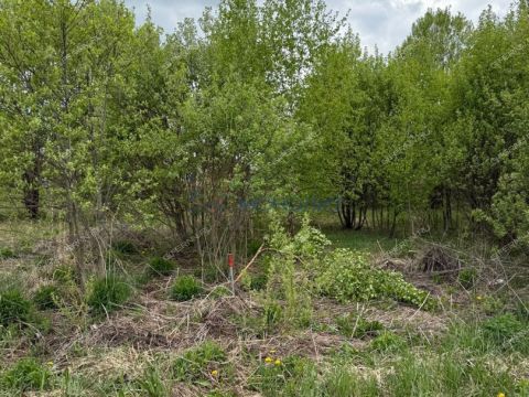 selo-diveevo-diveevskiy-municipalnyy-okrug фото