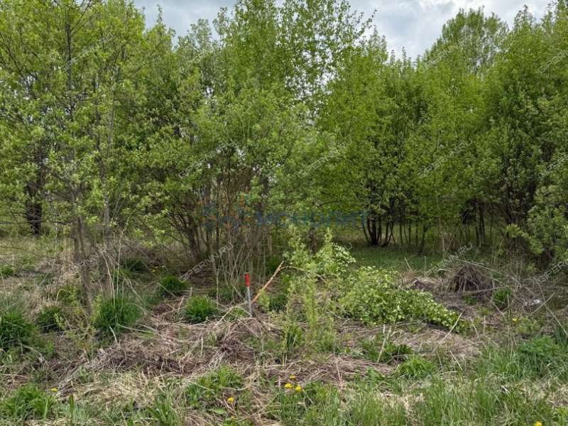 земельный участок 10,3 сотки Дружная улица село Дивеево