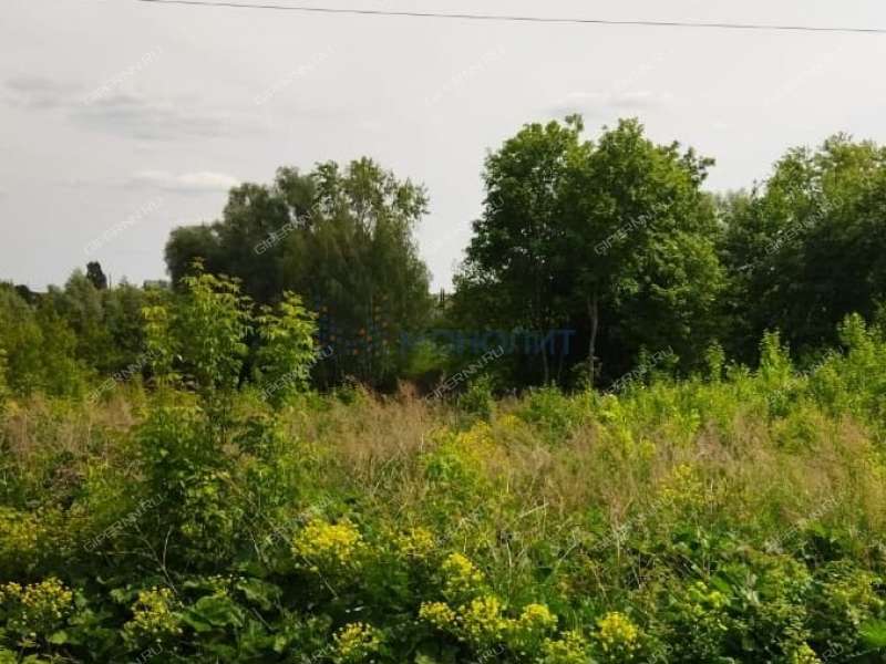 земельный участок 19 соток Верхний Конец улица село Стрелка