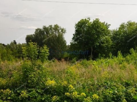selo-strelka-vadskiy-municipalnyy-okrug фото