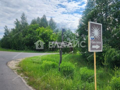 dom-derevnya-shumilovo-bogorodskiy-municipalnyy-okrug фото