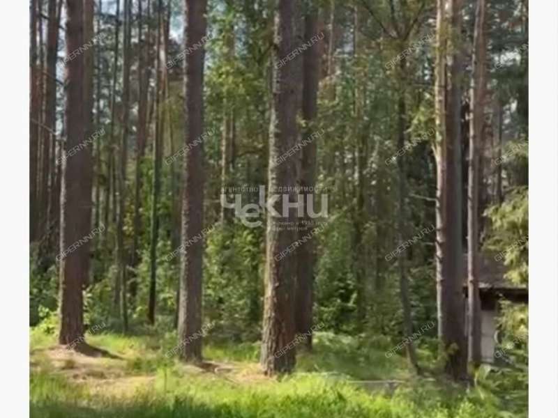 земельный участок 11 соток деревня Зуево