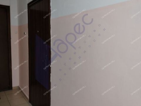 1-komnatnaya-derevnya-afonino-kstovskiy-rayon фото