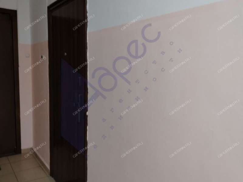 однокомнатная квартира на Академической улице дом 5 деревня Афонино