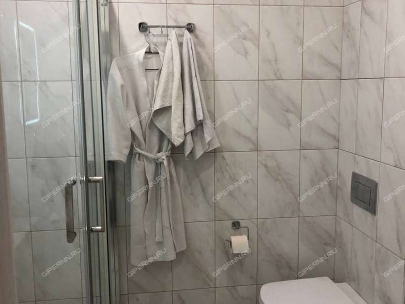 однокомнатная квартира на проспекте Ленина дом 30 к1