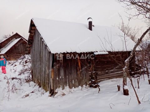 dom-selskiy-poselok-fanernoe-semenovskiy-gorodskoy-okrug фото
