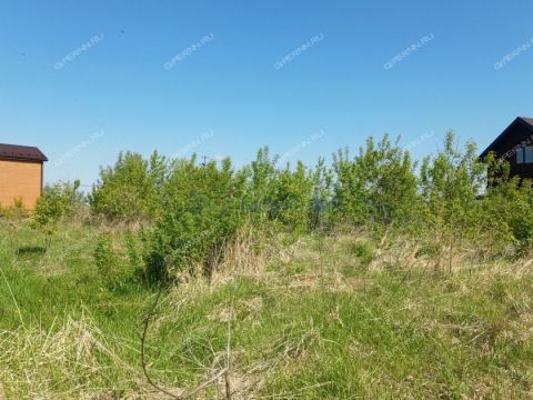 rabochiy-poselok-maloe-kozino-balahninskiy-municipalnyy-okrug фото