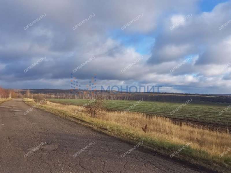 земельный участок под сельхоз назначение в городском округе Чкаловск Нижегородской области