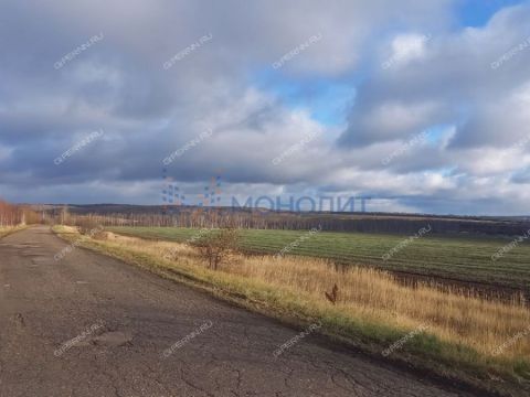 selo-novinki-gorodskoy-okrug-chkalovsk фото
