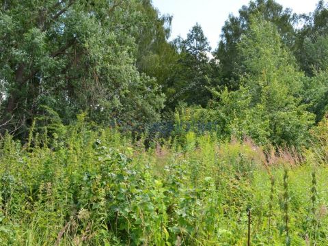 derevnya-yablonovo-gorodskoy-okrug-chkalovsk фото