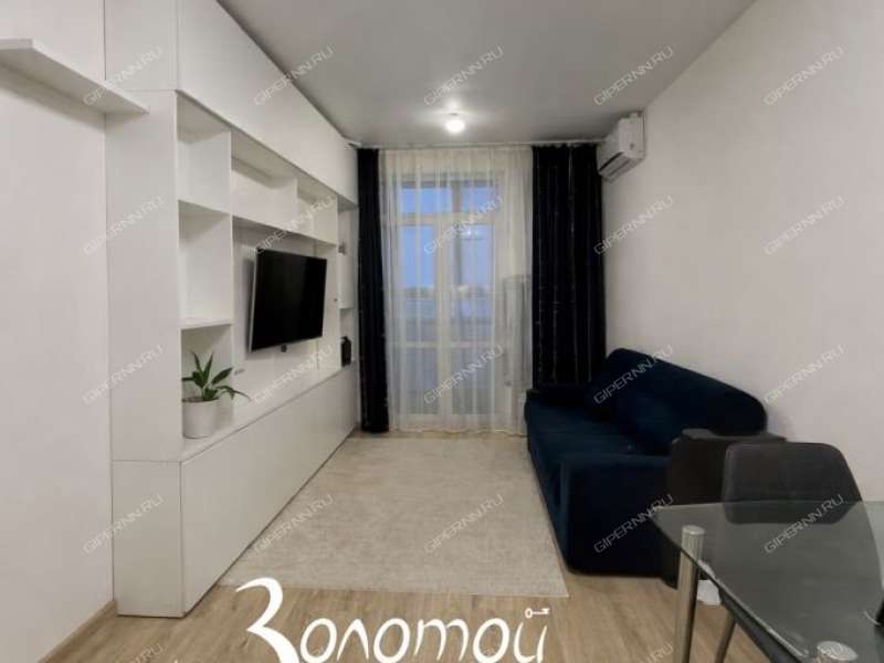 однокомнатная квартира на Русской улице улице дом 15 деревня Анкудиновка