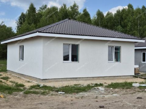 dom-derevnya-prudy-bogorodskiy-municipalnyy-okrug фото