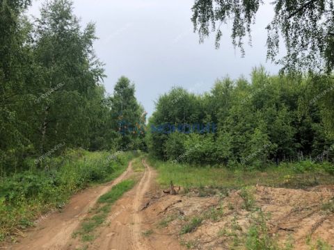 derevnya-kudrino-sokolskiy-gorodskoy-okrug фото