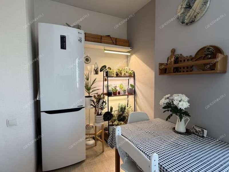 двухкомнатная квартира на Русской улице улице дом 7 деревня Анкудиновка